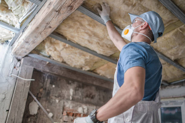 Best Specialized Insulation Services in Old Miakka, FL