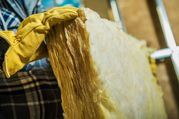 Best Commercial Insulation in Old Miakka, FL