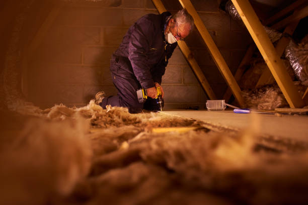 Best Cellulose Insulation in Old Miakka, FL